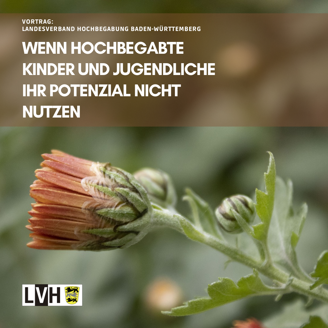 LVH Vorstand