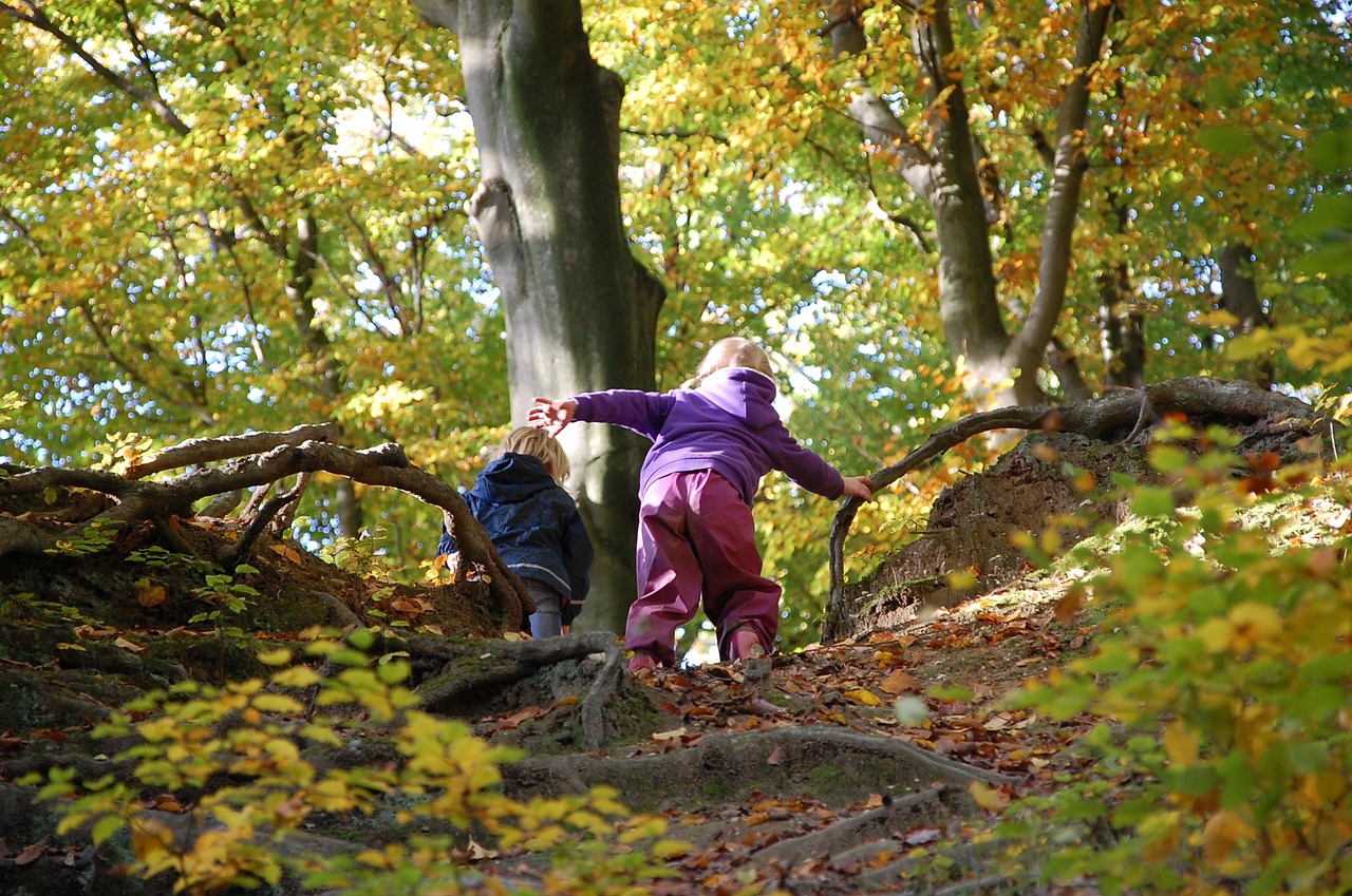 Ausflug zum Walderlebnispfad Birkenfeld